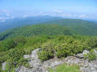 IMG_0822s.jpg (47570 bytes)