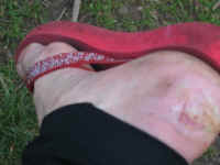 IMG_0826s.jpg (53115 bytes)